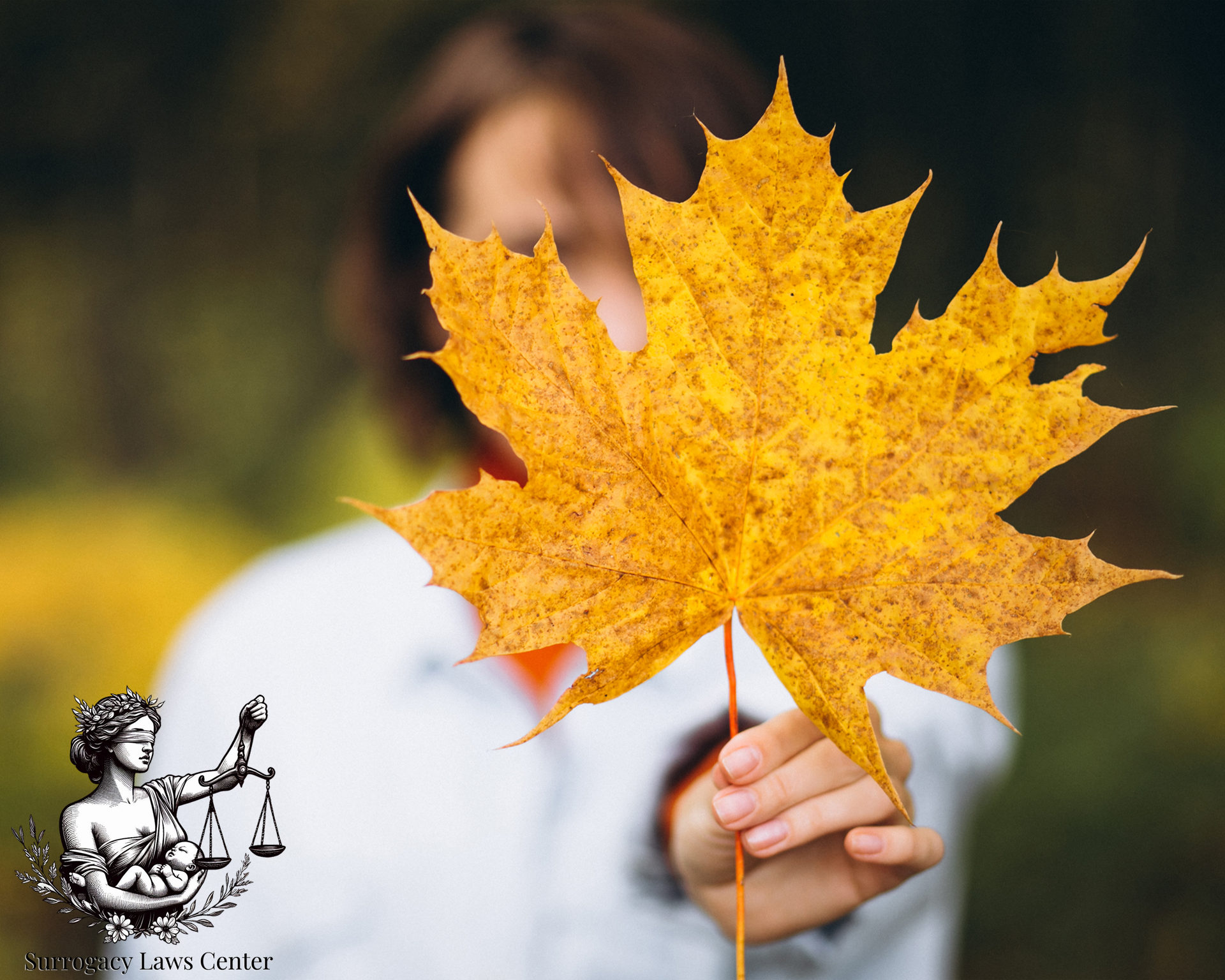 Realities of surrogacy in Canada legal, financial, and emotional aspects for intended parents